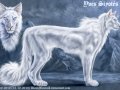 yves_charactersheet_by_blackmystica-d5obzwi.jpg